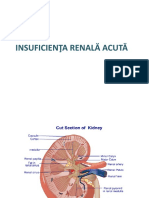 Insuficienta Renala 20120