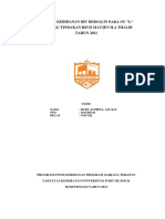 Askeb Inc 1 PDF
