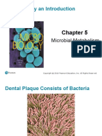 Microbiology An Introduction: Microbial Metabolism