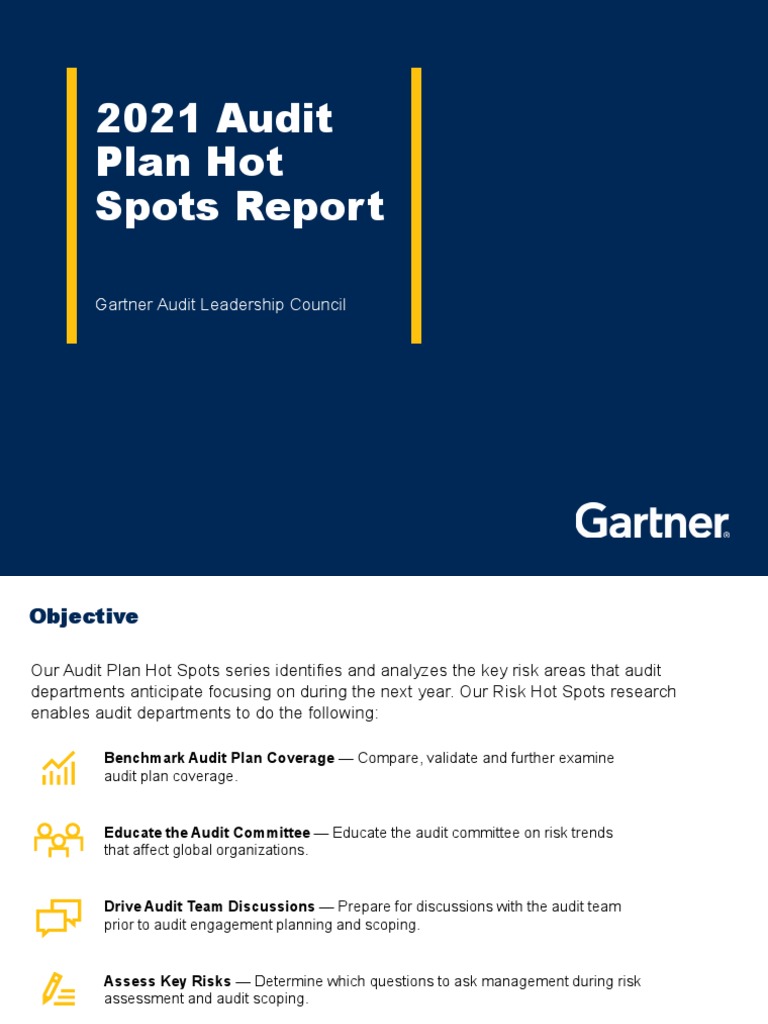 Audit Hot Spots Report Excerpt PDF Risk