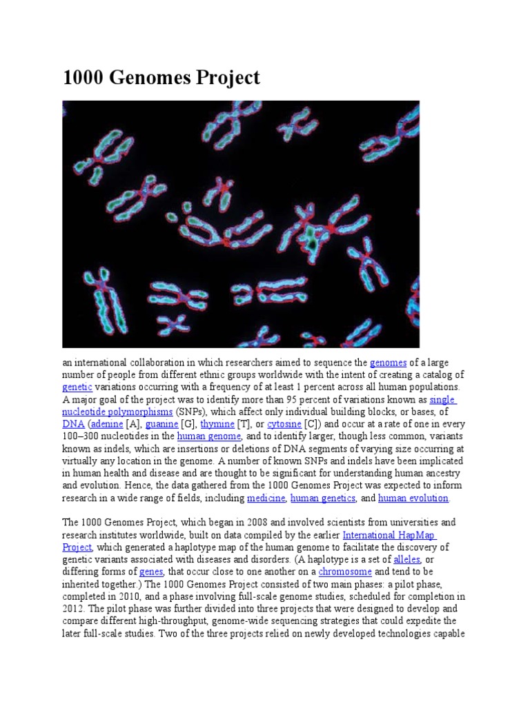 1000 Genomes Project | PDF | Dna Sequencing | Single Nucleotide ...