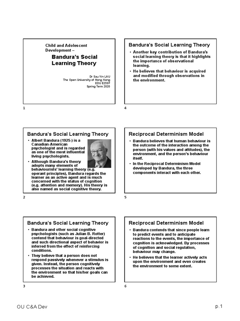 BANDURA SOCIAL COGNITIVE LEARNING THEORY PDF visual data 6