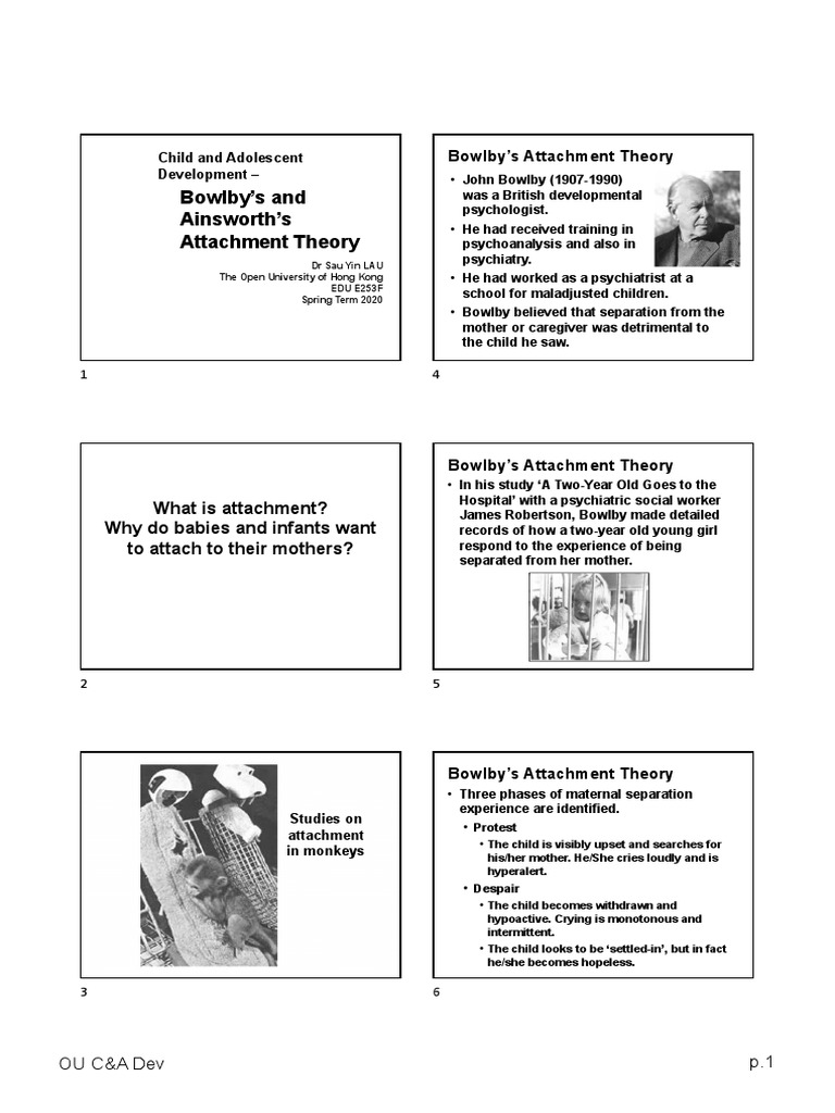 Understanding Attachment Theory Bowlby's and Ainsworth's Contributions