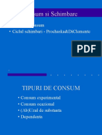 Tipurile de Consum