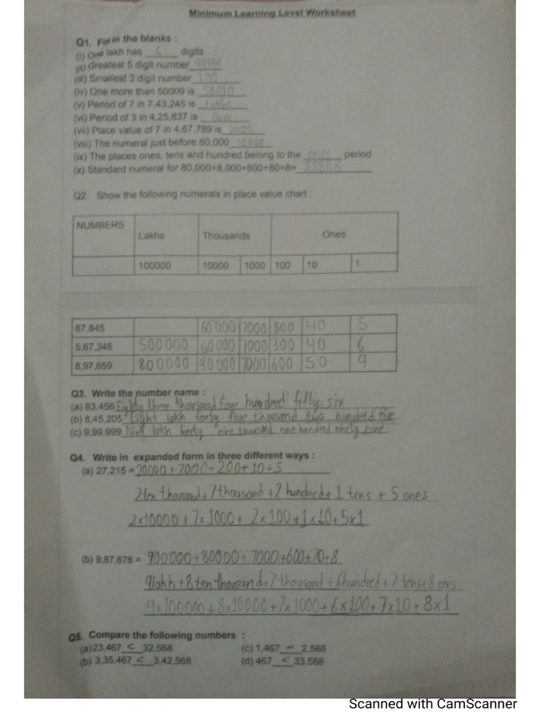 MLL Worksheet | PDF