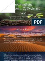 Photosynthetic Adaptations: C Cycle and CAM: Prepared By: Group 7 (Cabatingan, Ocaya, Cardente, Guillermo, and Andamon)