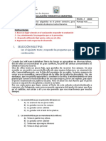 Prueba Semestral Adecuada 7°