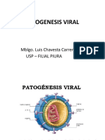 Patogenia_viral[1] (2)