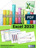 Microsoft Excel 2010