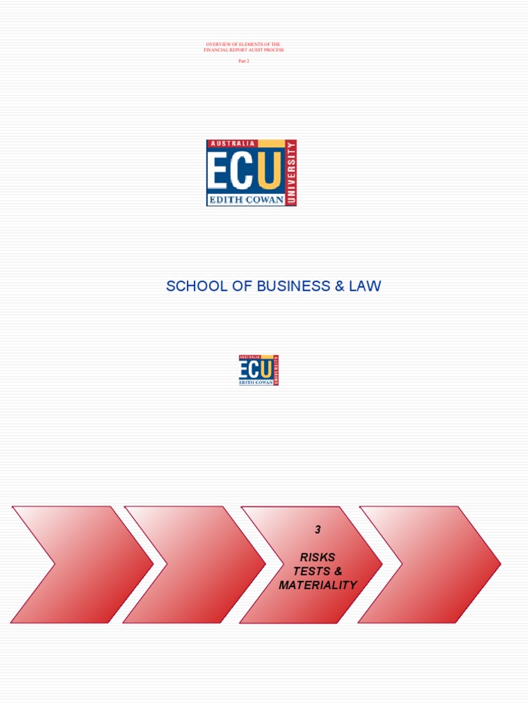 2-Ch 4-Overview Audit Process-7e | PDF | Internal Control | Audit