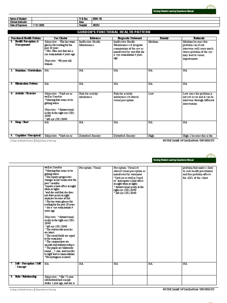 Nursing Care for Disturbed Visual Perception | PDF | Visual Impairment ...