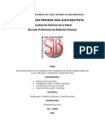 Documento Básico de Investigaciones Cualitativas de Los Principales Aspectos Socio Culturales y Problemas Sociales Del País