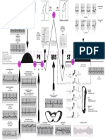 Ventricular Isovolumetric Contractions: Tiara Calvo Leon, M.D