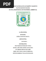 Tesis Doctoral Alberto Chordá Olmos | PDF | Clade | Clasificación ...