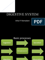 Digestive System: Arba P. Ramadani
