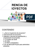 Gerencia de Proyectosi