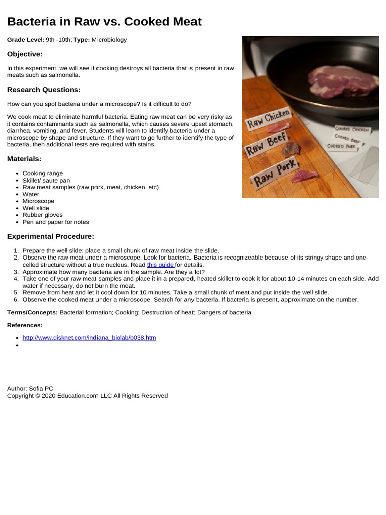 Bacteria in Raw vs. Cooked Meat Objective PDF