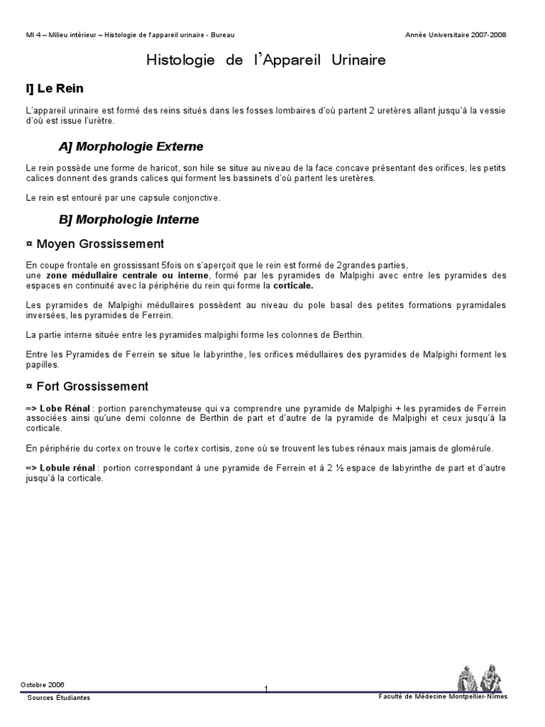 Histologie de l'Appareil Urinaire | PDF | Rein | Épithélium