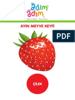 Ayin Meyvesi Cilek