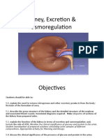 Kidney, Excretion & Osmoregulation