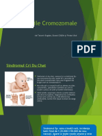 Maladiile Cromozomale