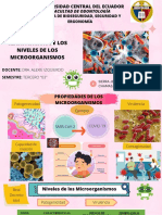 Clasificación de Los Niveles de Los Microorganismos. 12 de Marzo Del 2021