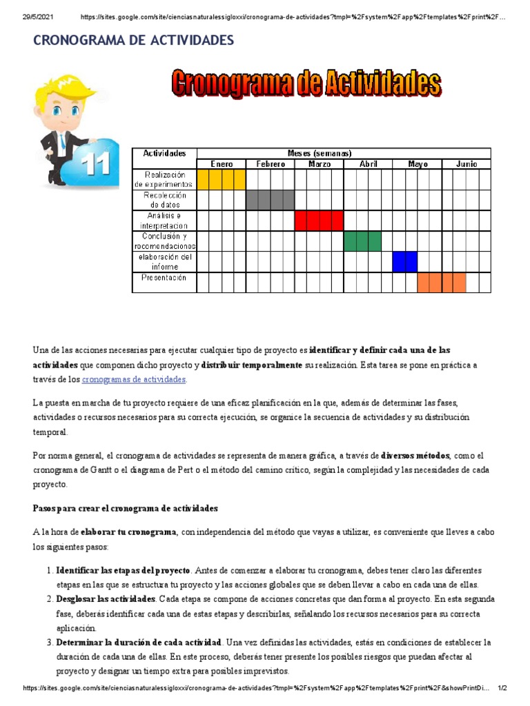 Guía para Crear un Cronograma de Actividades | PDF | Cognición | Science