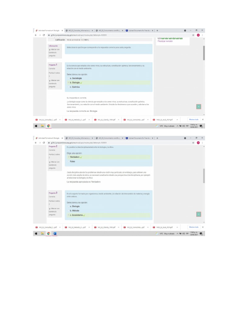 Actividad Formativa 4 Modulo 3 | PDF