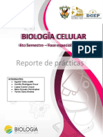 JMLS - Prácticas de Laboratorio 3 Biología Celular