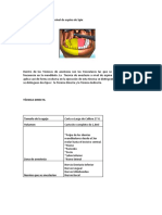 5.técnica de Anestesia A Nivel de Espina de Spix