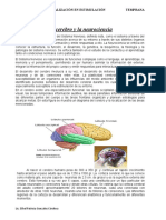 El Cerebro y La Neurociencia