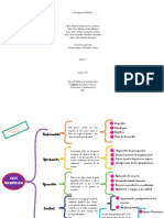 Cuadro Sinoptico Ciclo Presupuestario Equipo 06