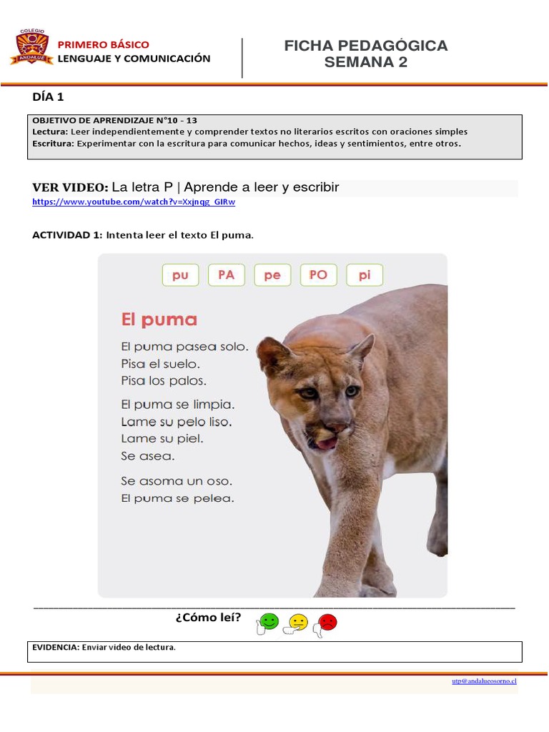 Semana 2 | PDF | Lingüística | Comunicación