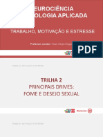 T2 - slides - trabalho motivação e stress