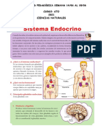 Sistema-Endocrino - SEMANA 14:06 6TO