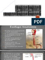 Urografia Excretora