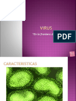 TEMA 6virus