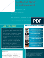 Sistema de Cultvos de Molusco Semana 12