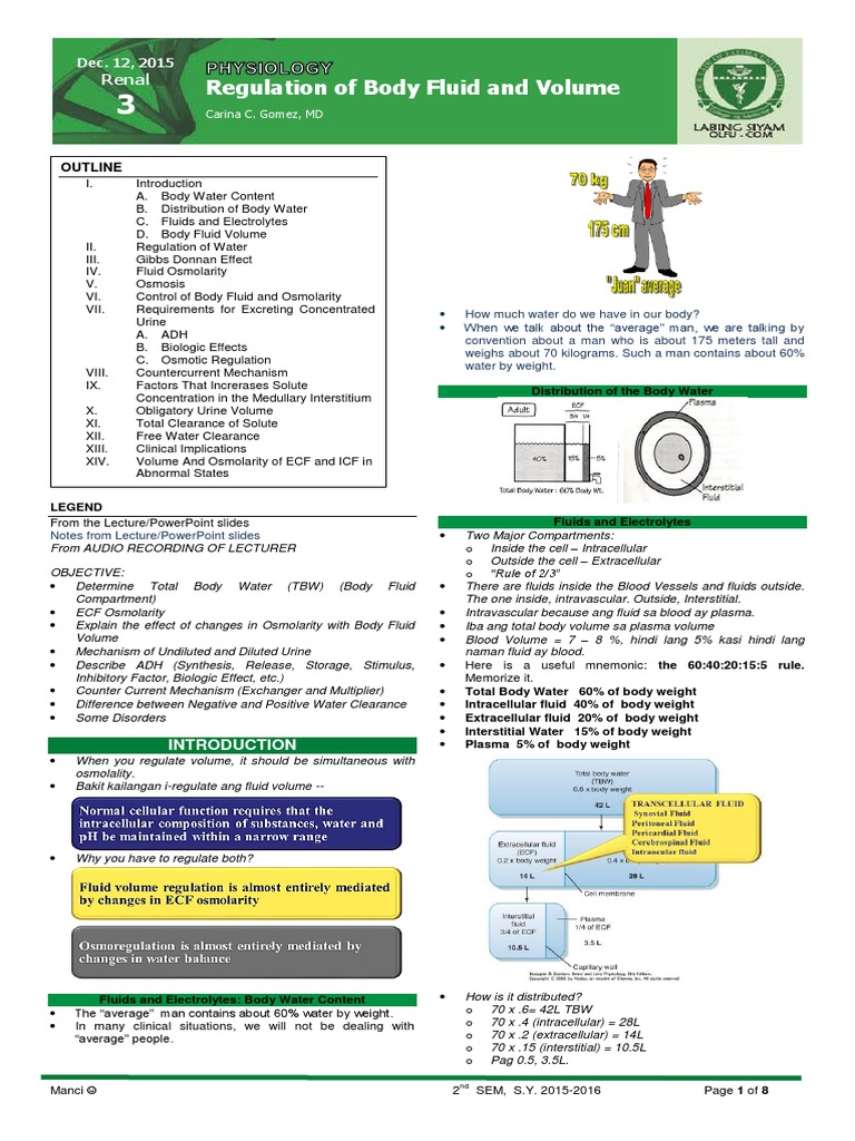 Body Fluid Regulation and Osmolarity | PDF | Animal Anatomy | Kidney