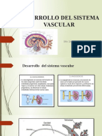 Desarrollo del sistema vascular embrionario