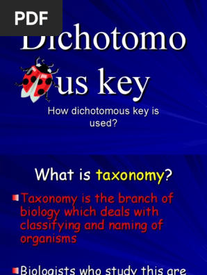 Dichotomous Key