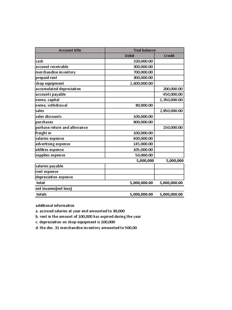 Trial Balance with Adjustments and Financial Statements of Nemo Company