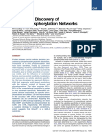 2007 Systematic Discovery of in Vivo Phosphorylation Networks