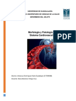 Morfología y Fisiología Del Sistema Cardiovascular