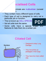 Specialised Cells: Multicellular