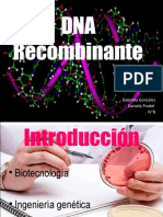 DNA Recombinante1