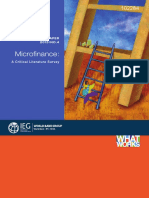 Microfinance:: A Critical Literature Sur Vey