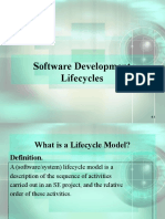 Software Development Lifecycles
