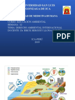 SESION 12 DERECHO AMBIENTAL INTERNACIONAL