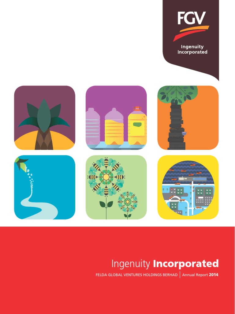 FGV 2014: Shareholder Insights | PDF | Palm Oil | Sustainability